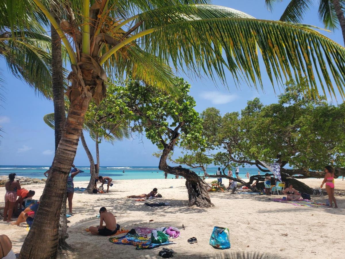 Villa L'Anjou Creole A Sainte Anne En Guadeloupe Avec Piscine Privee Et 2 Chambres Pour 4 Personnes Екстер'єр фото
