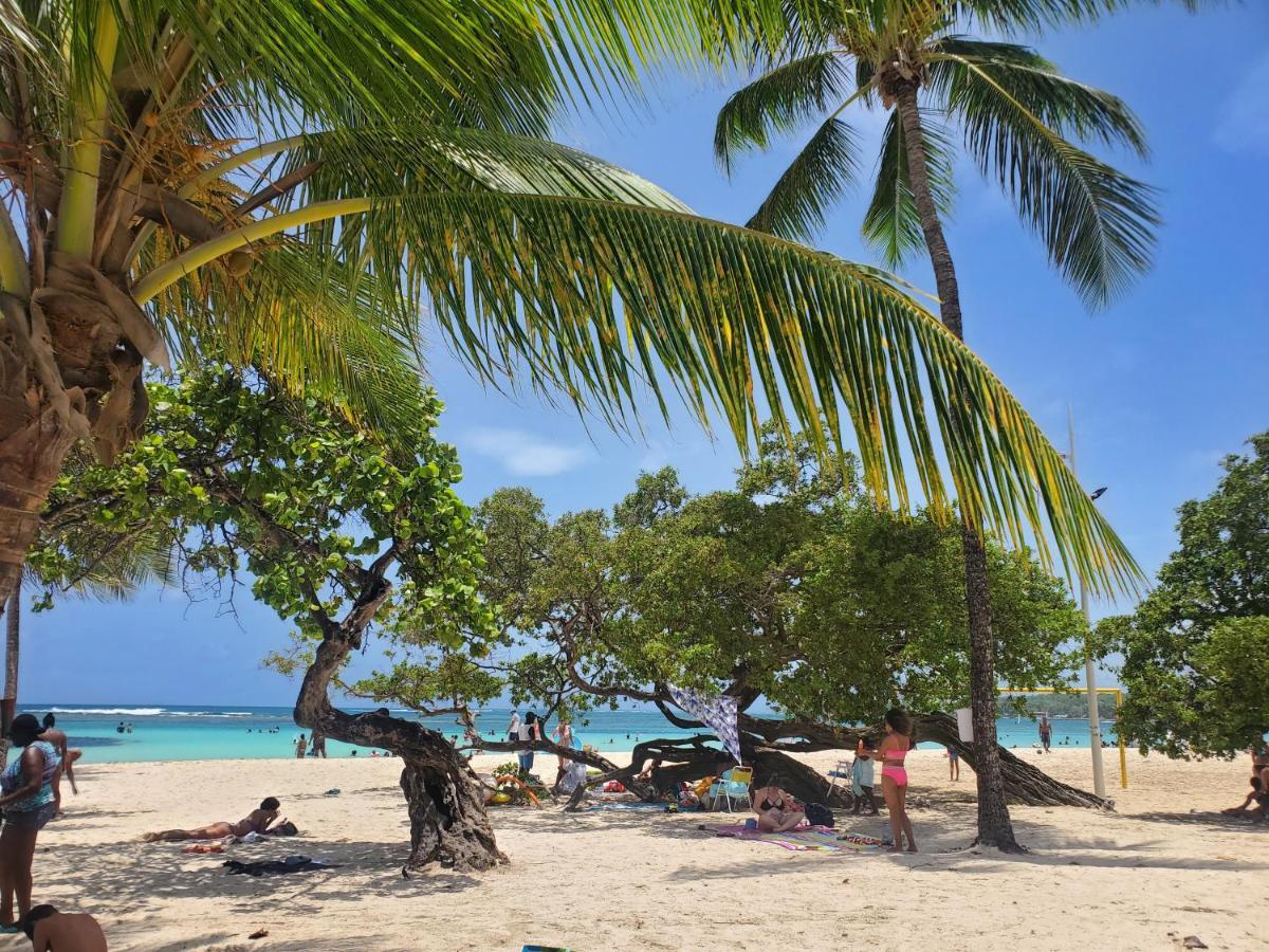 Villa L'Anjou Creole A Sainte Anne En Guadeloupe Avec Piscine Privee Et 2 Chambres Pour 4 Personnes Екстер'єр фото