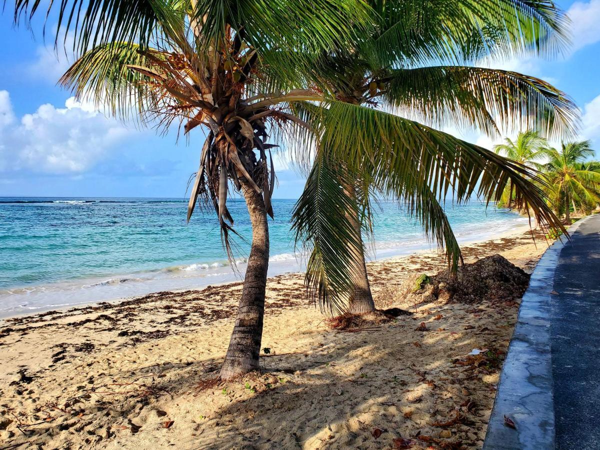 Villa L'Anjou Creole A Sainte Anne En Guadeloupe Avec Piscine Privee Et 2 Chambres Pour 4 Personnes Екстер'єр фото