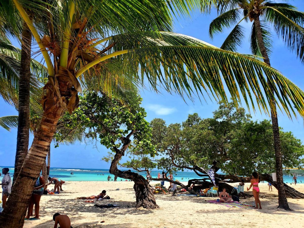 Villa L'Anjou Creole A Sainte Anne En Guadeloupe Avec Piscine Privee Et 2 Chambres Pour 4 Personnes Екстер'єр фото