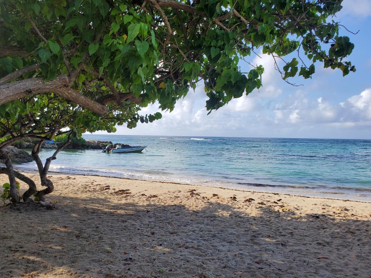 Villa L'Anjou Creole A Sainte Anne En Guadeloupe Avec Piscine Privee Et 2 Chambres Pour 4 Personnes Екстер'єр фото