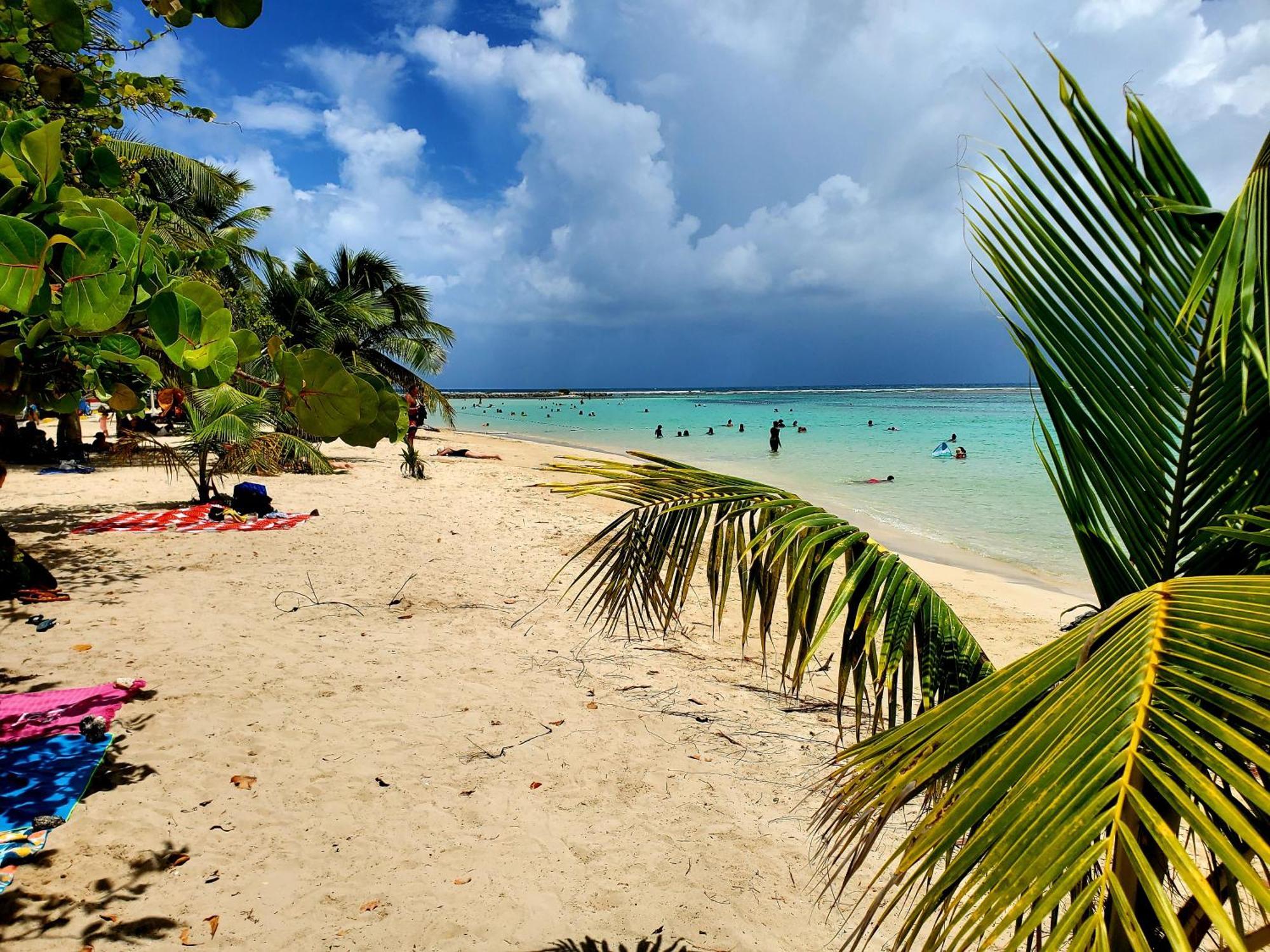 Villa L'Anjou Creole A Sainte Anne En Guadeloupe Avec Piscine Privee Et 2 Chambres Pour 4 Personnes Екстер'єр фото